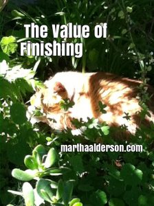 valueoffinishing