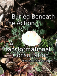 Transformational Consultation