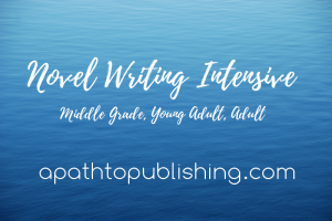 novelwritingworkshop